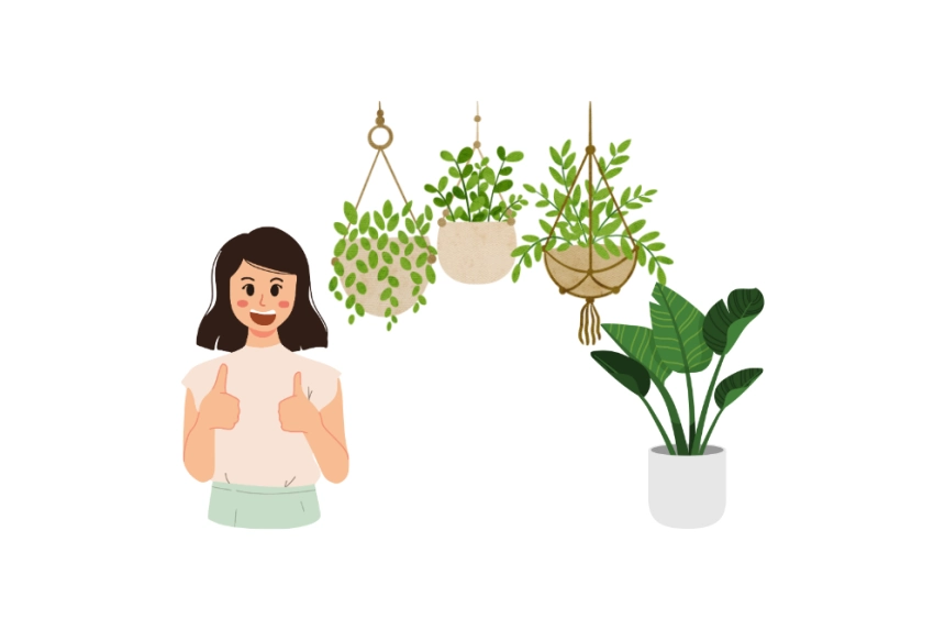 How to Care for Your Indoor Plants