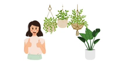 Cómo cuidar tus plantas de interior