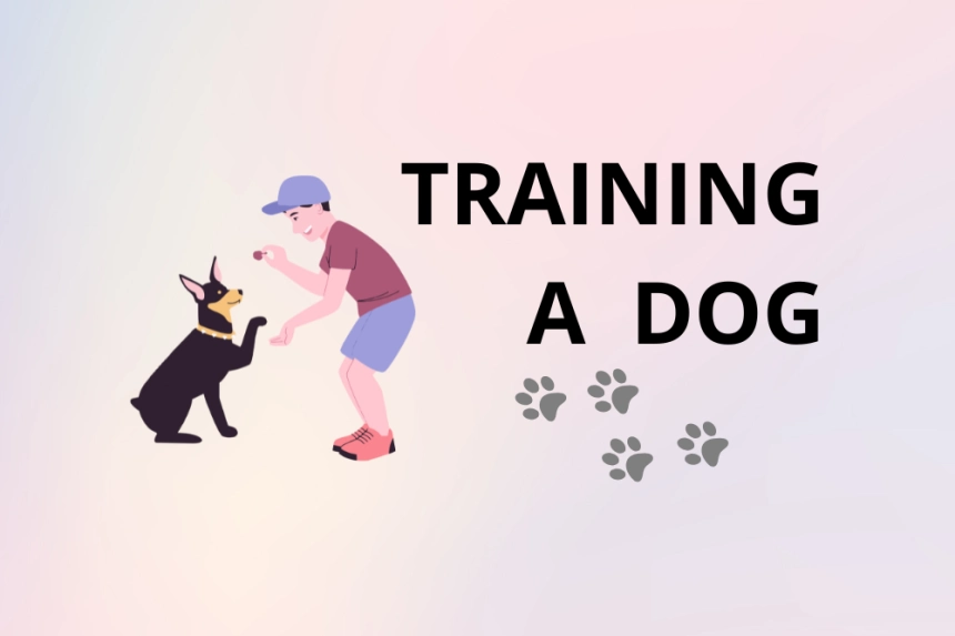 Consejos para Entrenar a un Perro en Casa