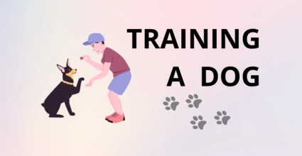 Consejos para Entrenar a un Perro en Casa